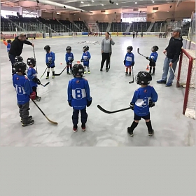 Learn to Play Ball Hockey